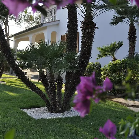 Le Duchesse Nocleg ze śniadaniem Trani