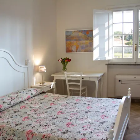 Le Duchesse 트라니