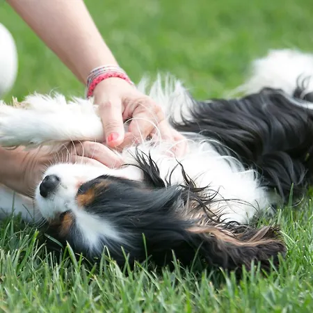 Frühstückspension Le Duchesse